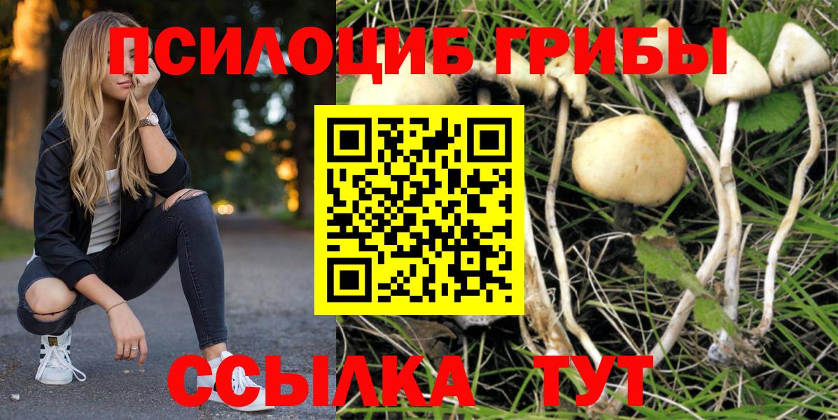 Галлюциногенные грибы мицелий  Вход с VPN  Ростов-на-Дону 