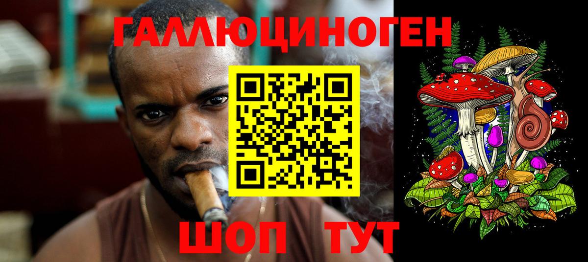 Псилоцибиновые грибы Psilocybe Ростов-на-Дону